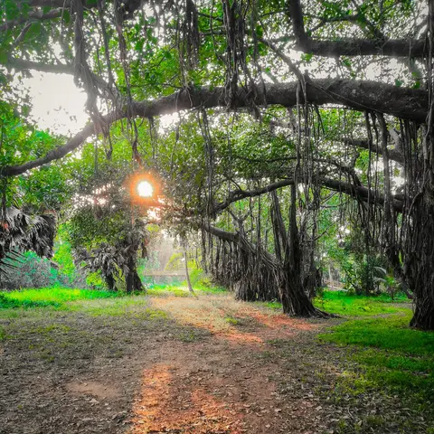 ಕುದುರು