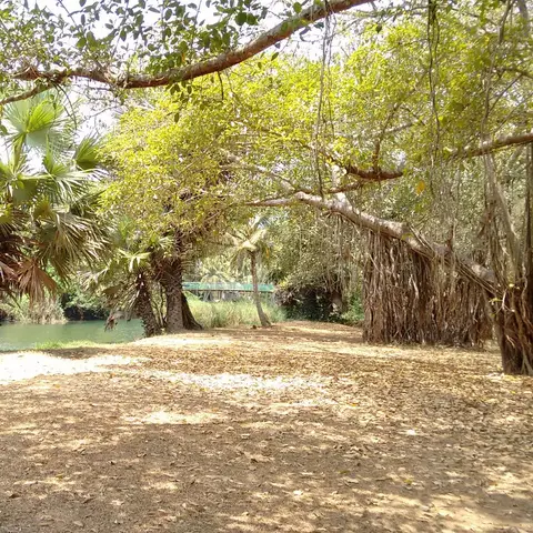 ಕುದುರು